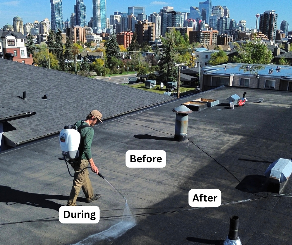 Supplied flat-roof treatment reference labeled before, during, and after